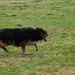 Donald Collie Photo 6
