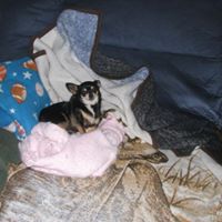 Kathryn Goodwin Photo 11
