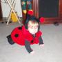 Jennifer Moseley Photo 22