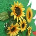 David Reif Photo 33