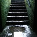 Marty Perkins Photo 16