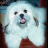 Cathy Williamson Photo 19