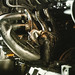 Scott Giger Photo 10