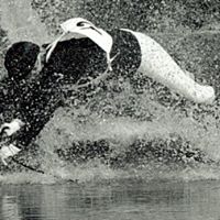 Anne Ball Photo 34