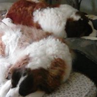 Vicki Hinton Photo 8