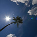 Sun Jiang Photo 6