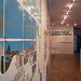 Sara Doran Photo 16