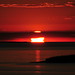 Sun Smith Photo 11