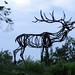 Steven Conaway Photo 18