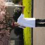 Charles Reynolds Photo 47