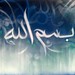 Mahmood Sheikh Photo 16