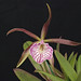Mary Dodson Photo 46
