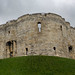 Clifford Mason Photo 17