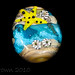 Anita Mills Photo 4