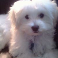 James Millender Photo 4