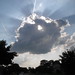 Neil Ray Photo 31