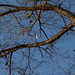 Sally Smith Photo 45
