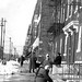 Betty Mcdonald Photo 14