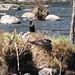 Sandy Brooks Photo 34