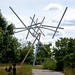 Kenneth Trees Photo 12