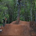 Chad Rowland Photo 37