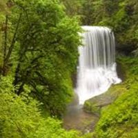 Deborah Stockman Photo 16