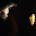 Anthony Bates Photo 34