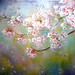Lai Yu Photo 23