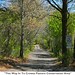 Martha Crowe Photo 15