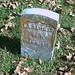 William Hatfield Photo 15