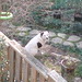 Jill Hemphill Photo 12