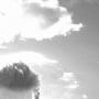 David Howlett Photo 34