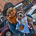 Dorothy Cookman Photo 4
