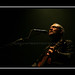 David Grey Photo 16