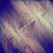 Diana Cross Photo 18