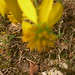 James Bemis Photo 12
