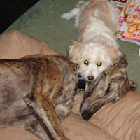 Ruth Seel Photo 4