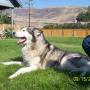 Tammy Sanders Photo 24