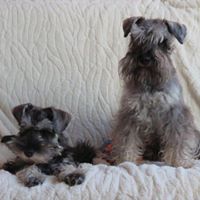 Judith Atkinson Photo 41