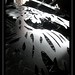 Jason Schambers Photo 6