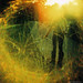 Diana Cross Photo 21
