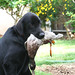 Cheryl Quirk Photo 14