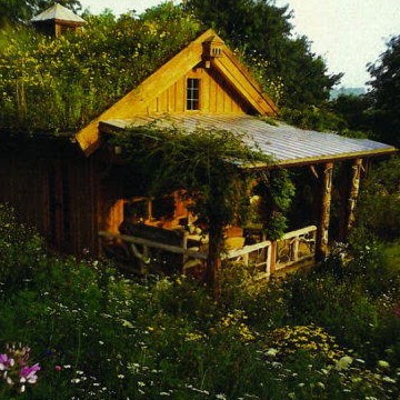 Kelly Poole Photo 33