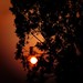 David Deem Photo 16
