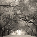 Jan Towne Photo 8