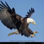 Harold Yoder Photo 7