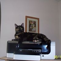 Ann Shepard Photo 12