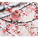 Roy Winters Photo 16