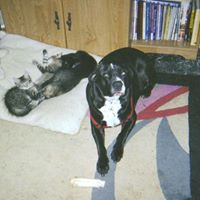 Linda Peace Photo 8