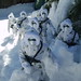 Joe Snow Photo 26